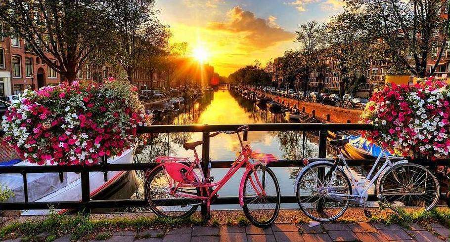 amsterdam-riot-910-490